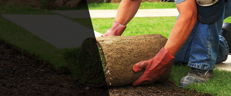 Jenkins Landscapers